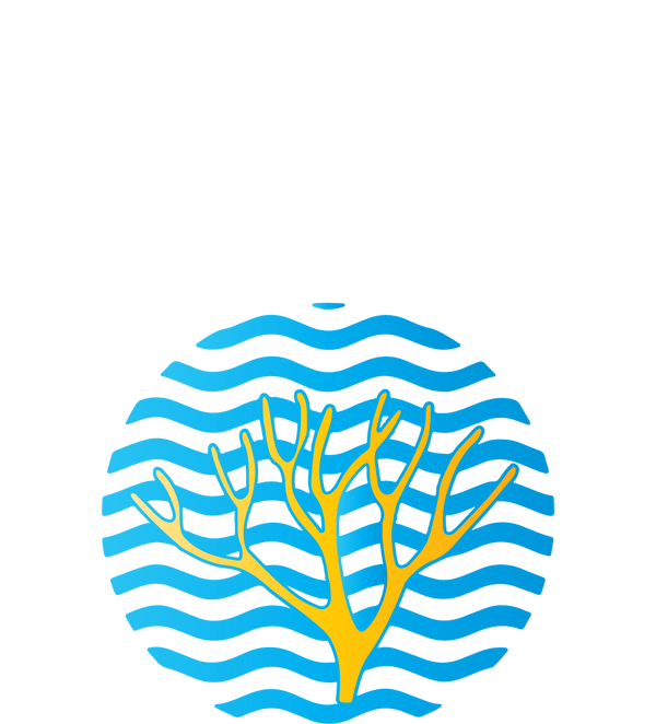 Holistic Sea Moss 